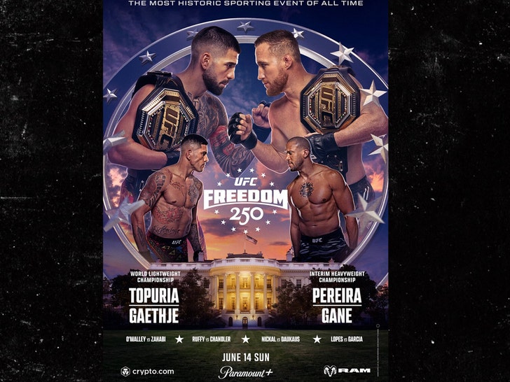 libertad de ufc, 250 pósters